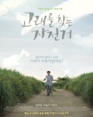 Miracle poster
