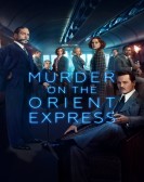 poster_murder-on-the-orient-express_tt3402236.jpg Free Download