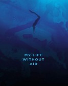A Life Witho poster