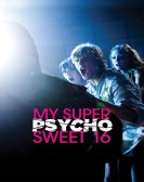 My Super Psy poster