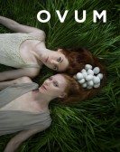 Ovum poster