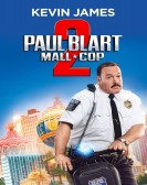 Paul Blart: Mall Cop 2 - 2015 Free Download