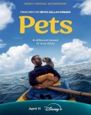 Pets Free Download