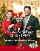 Picture a Perfect Christmas poster