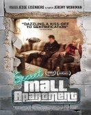 Secret Mall Apartment poster