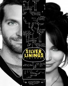 Silver Linings Playbook (2012) poster