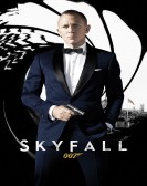 poster_skyfall_tt1074638.jpg Free Download