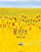 Star Watching Dog poster