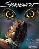 Stormswept poster