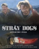 poster_stray-dogs_tt11669056.jpg Free Download