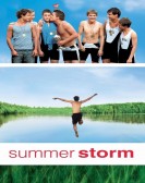 poster_summer-storm_tt0420206.jpg Free Download