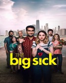The Big Sick (2017) Free Download