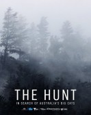 poster_the-hunt-in-search-of-australias-big-cats_tt12239772.jpg Free Download