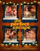 poster_the-perfect-escape_tt14188716.jpg Free Download