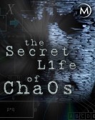 poster_the-secret-life-of-chaos_tt1674741.jpg Free Download