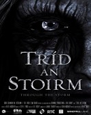 Through The Storm poster
