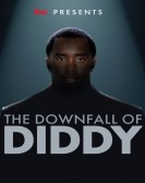 poster_tmz-presents-the-downfall-of-diddy_tt32205145.jpg Free Download
