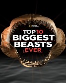 Top 10 Biggest Beasts Ever poster