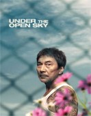 Under the Open Sky poster