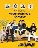 What A Wonderful Family! poster