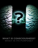 What Is Consciousness? What Is Its Purpose? poster