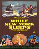 While New York Sleeps poster
