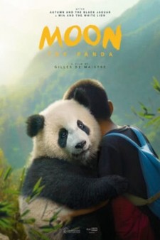 Moon The Panda poster