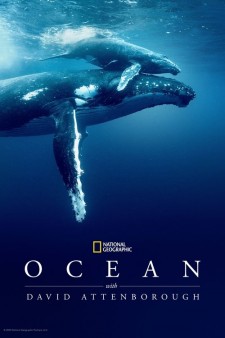 Ocean with David Attenborough poster