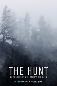 The Hunt: In Search of Australia's Big Cats poster