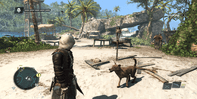 Assassin's Creed IV: Black Flag screenshot 6