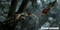 Tomb Raider screenshot 5